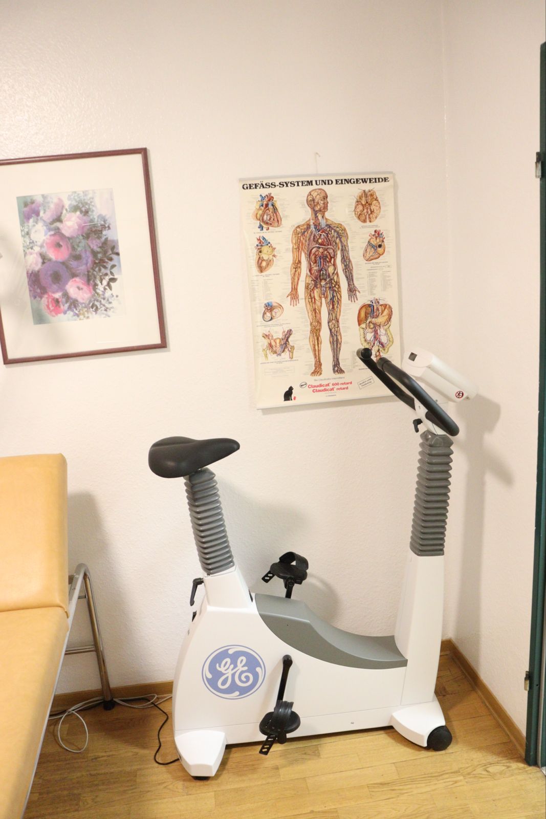 Das Belastungs-EKG: ein Fahrradergometer vor einer Wandtafel des Gefäßsystems.